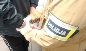 Nieumundurowany policjant z opaską na ramieniu z napisem Policja, zakłada zatrzymanemu kajdanki na ręce trzymane z tyłu.